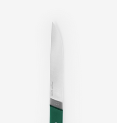 8-Piece Straight-Edge Steak Knives (ACUTO440) - Green